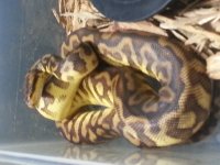 20130909_224417.jpg