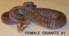 FEMALEGRANITE1.jpg