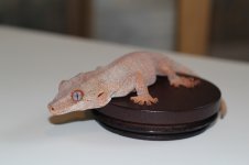 IMG_0342.jpg