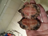 20131120_202431.jpg