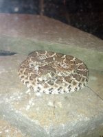 IMG_20130816_105130.jpg