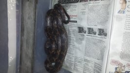 20131124_155014.jpg