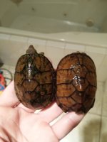 20131120_203426.jpg