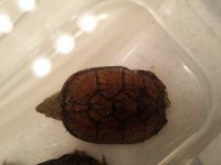 20131120_203315.jpg