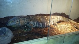 20130921_154427.jpg
