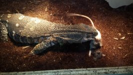 20130920_160840.jpg
