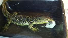 20130820_183602.jpg