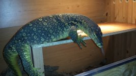 20130912_201002.jpg
