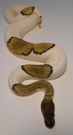 DSCN0617.jpg