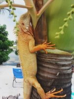 IMG_20130826_4.jpg