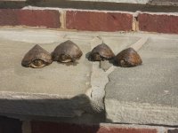 20131004_155823.jpg