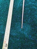 IMG_20130826_1.jpg