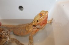 IMG_7191.jpg