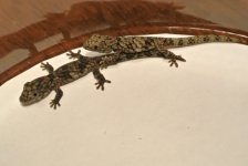 DSC_2479.jpg