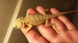 20131027_110918.jpg