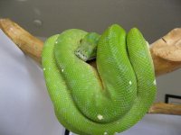 IMG_0063.jpg