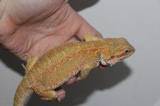 IMG_8373.jpg