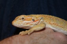 IMG_8360.jpg
