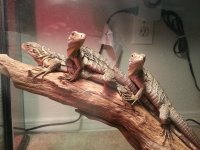 20131028_212451.jpg