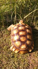 IMG_20130814_164339_995.jpg