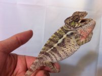 2013-08-19T19-56-37_1.jpg