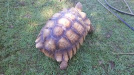 IMG_20130813_160128.jpg