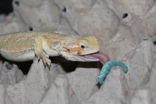 IMG_7783.jpg