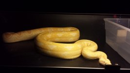 20131130_143440.jpg