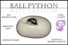 Snake ID Cards (Blue Print).jpg