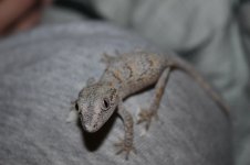 IMG_8542.jpg