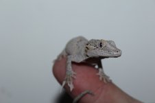 IMG_8540.jpg