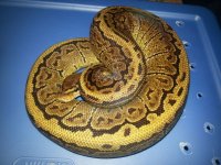 20130819_161848.jpg