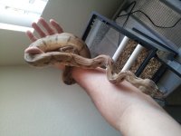 20130806_143405.jpg