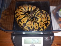 20131008_213833.jpg