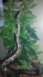 2013-08-22_11-19-55_839.jpg