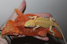 IMG_7561.jpg