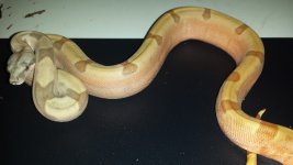 20131111_204436.jpg
