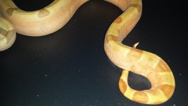20131111_204427.jpg