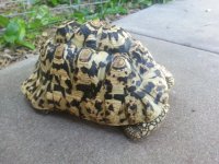 20130926_160444.jpg