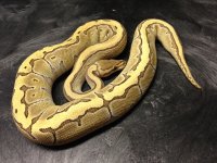 IMG_5868.jpg