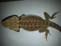 20131112_161658.jpg