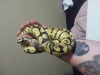 20130808_205511.jpg