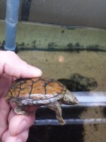 20131011_220524.jpg