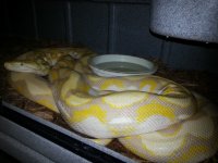 20131105_120732.jpg
