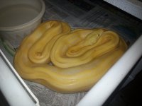 20131126_080438.jpg