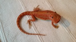 20131202_120035.jpg