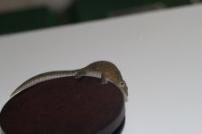IMG_0315.jpg