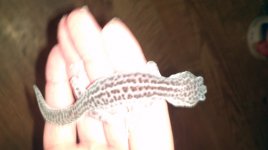 2013-11-12_22-48-20_810.jpg