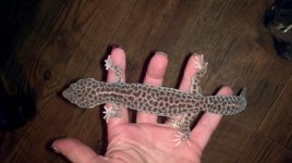 2013-11-12_22-47-00_656.jpg