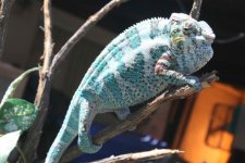 5-1-2010026.jpg 5-1-2010026.jpg